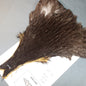 Doc's Hen Cape #77 Dark Grey Dun