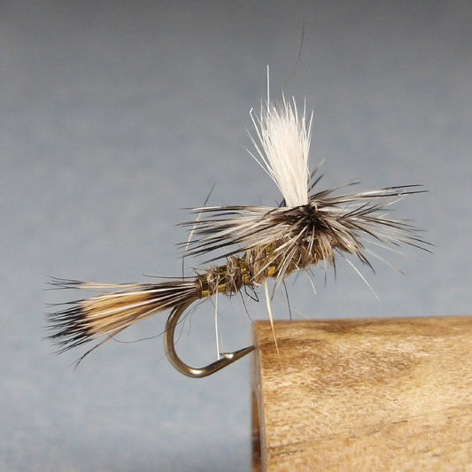 Hares Ear Parachute
