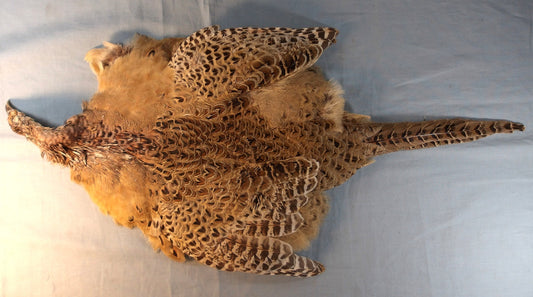 Complete Hen Pheasant Skin.