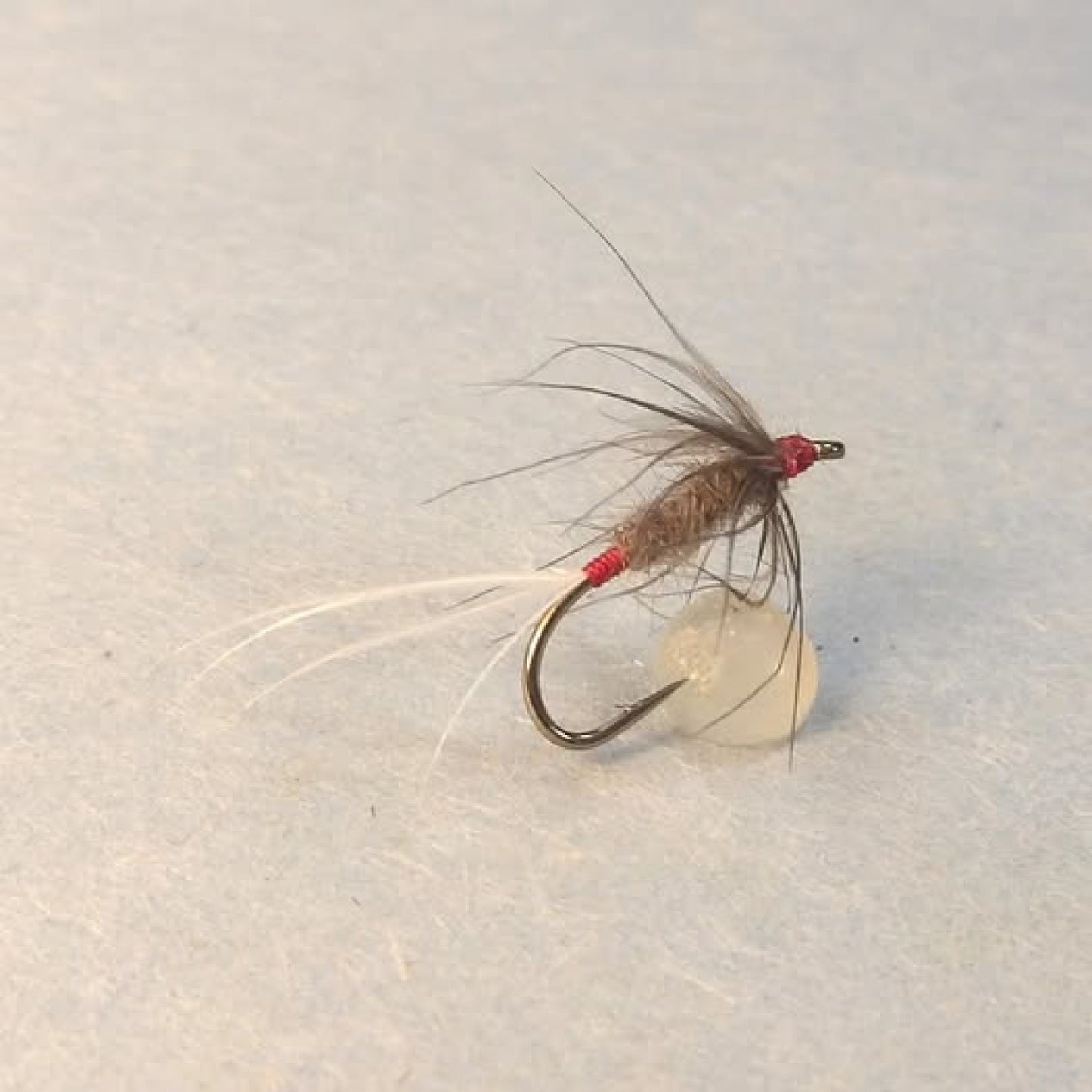 Jackdaw Scalp