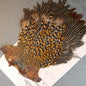 Jungle Cock Neck # 14