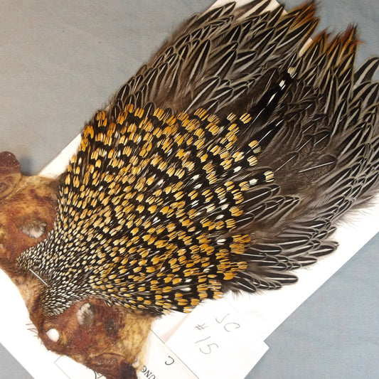Jungle Cock Neck # 15