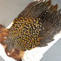 Jungle Cock Neck # 15
