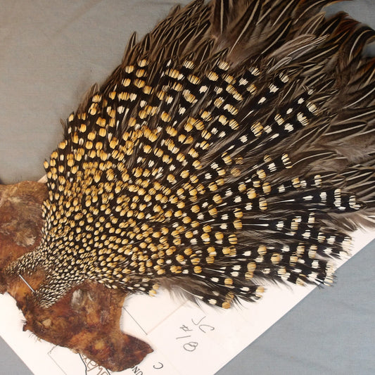 Jungle Cock Neck # 18