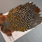Jungle Cock Neck #20