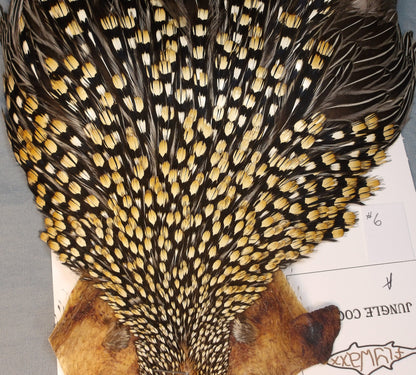 Jungle Cock Neck    # 6