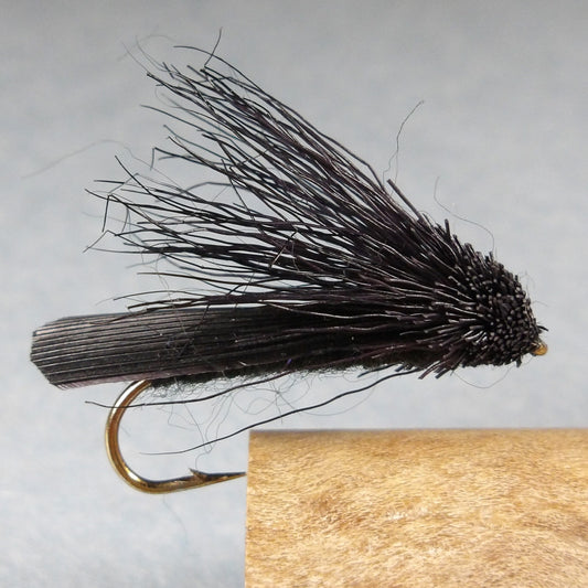 Letort Cricket
