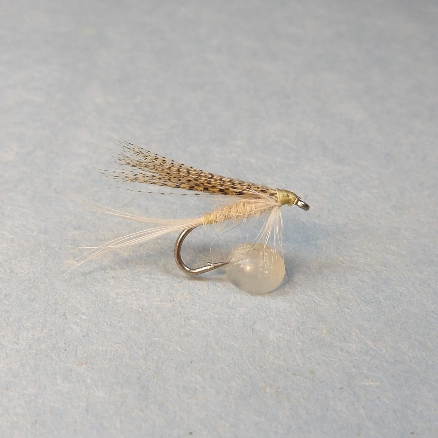 Light Cahill Classic Wet