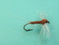 Female Hendrickson Spinner