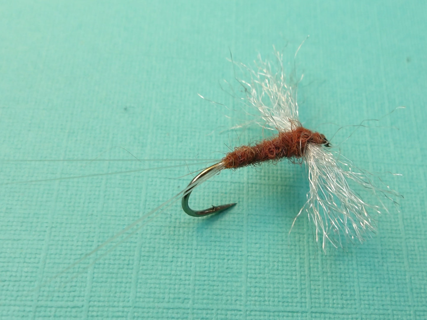 Male Hendrickson Spinner