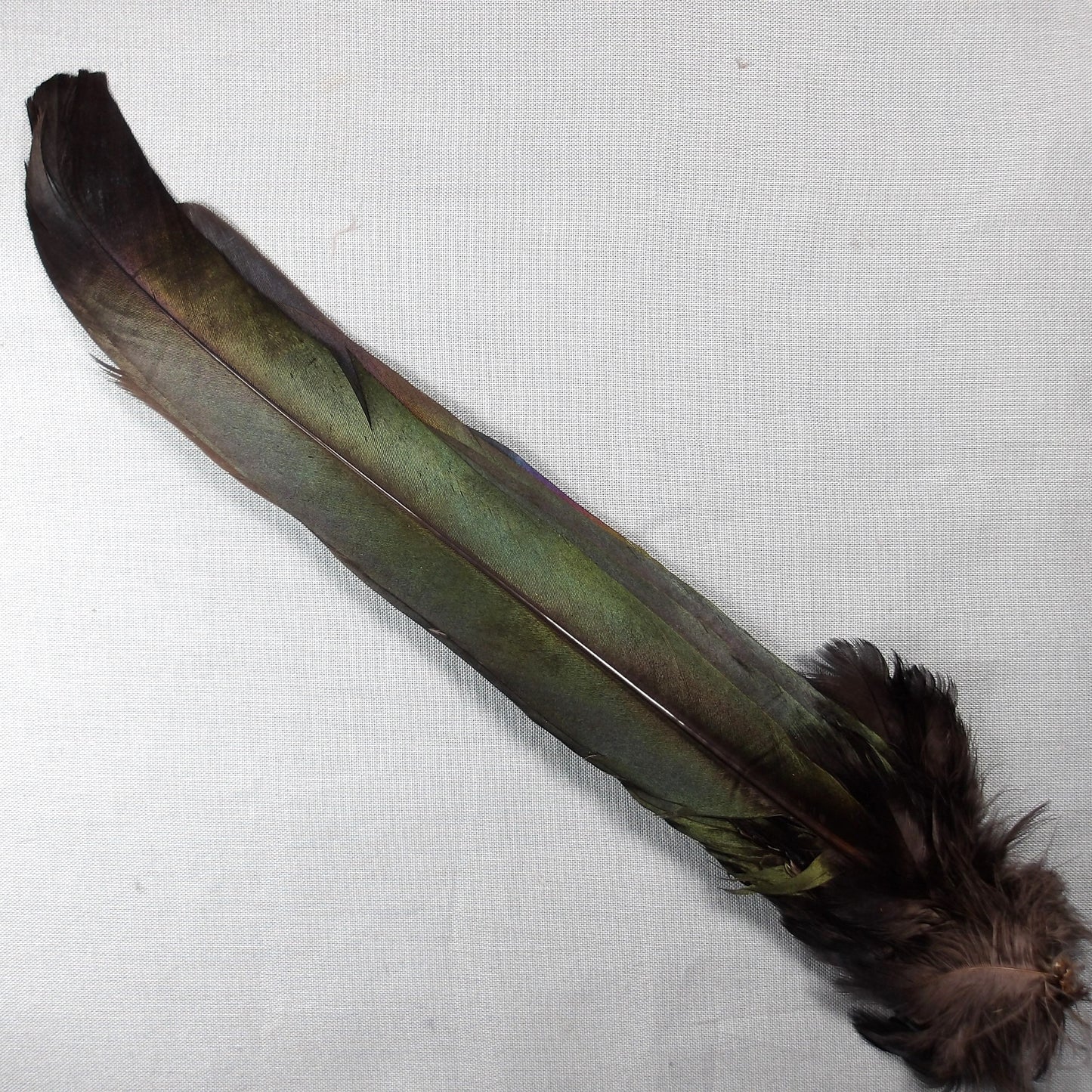 Magpie Tail Complete