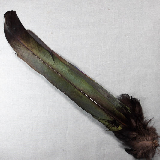 Magpie Tail Complete