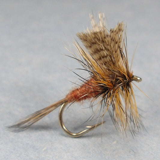 March Brown