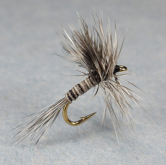 Mosquito