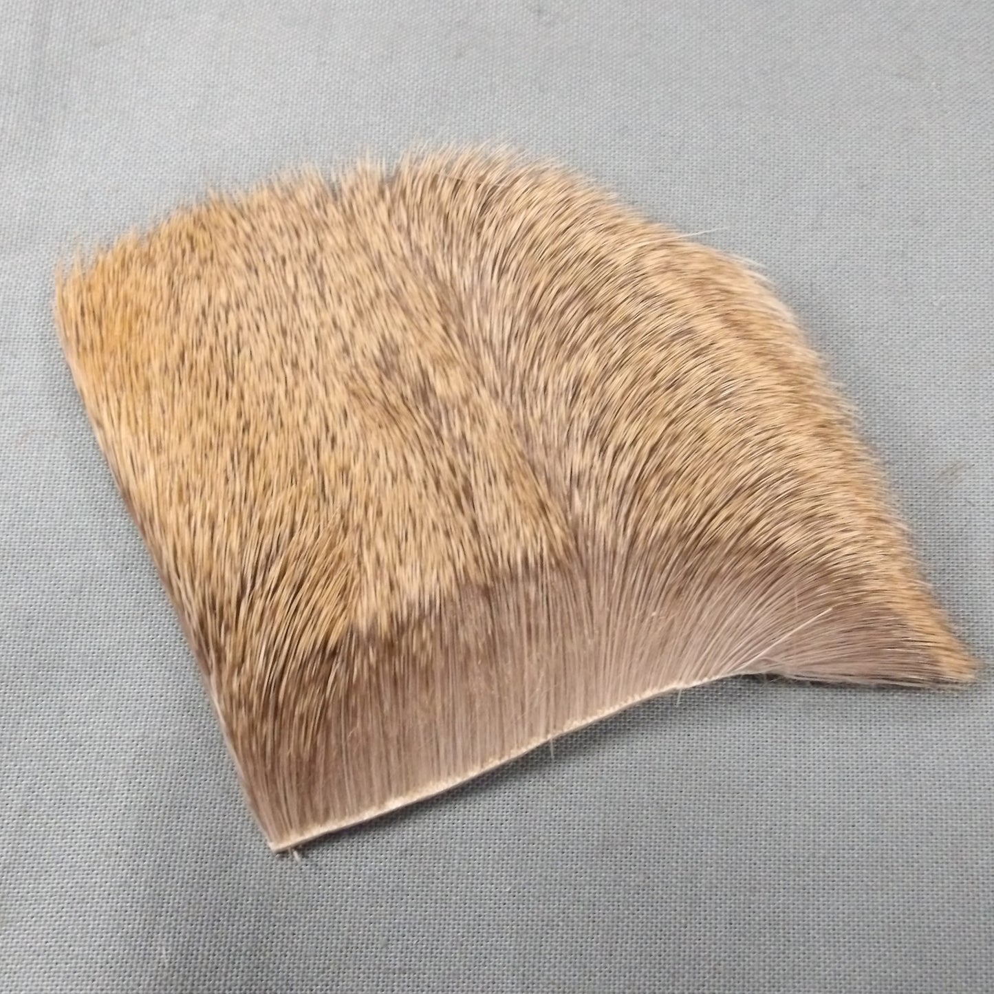 Natures Spirit Deer Hock