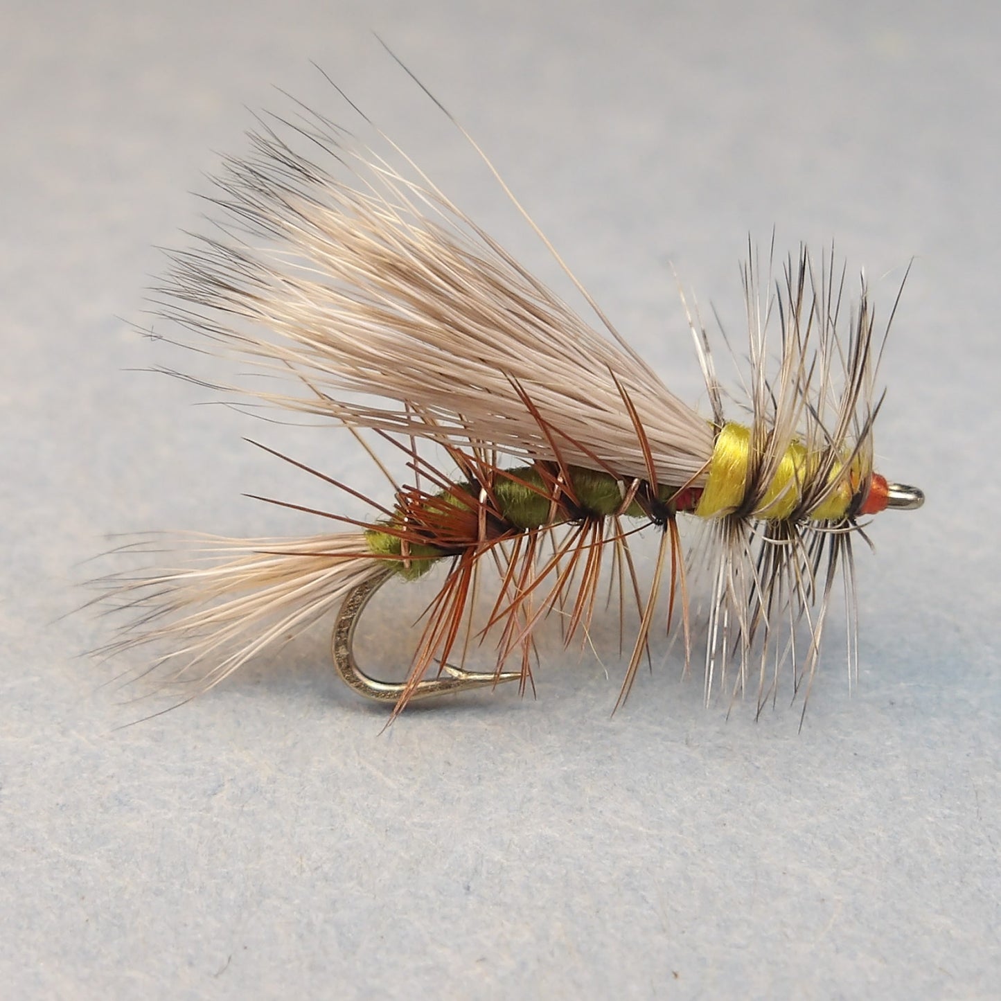 Stimulator Olive