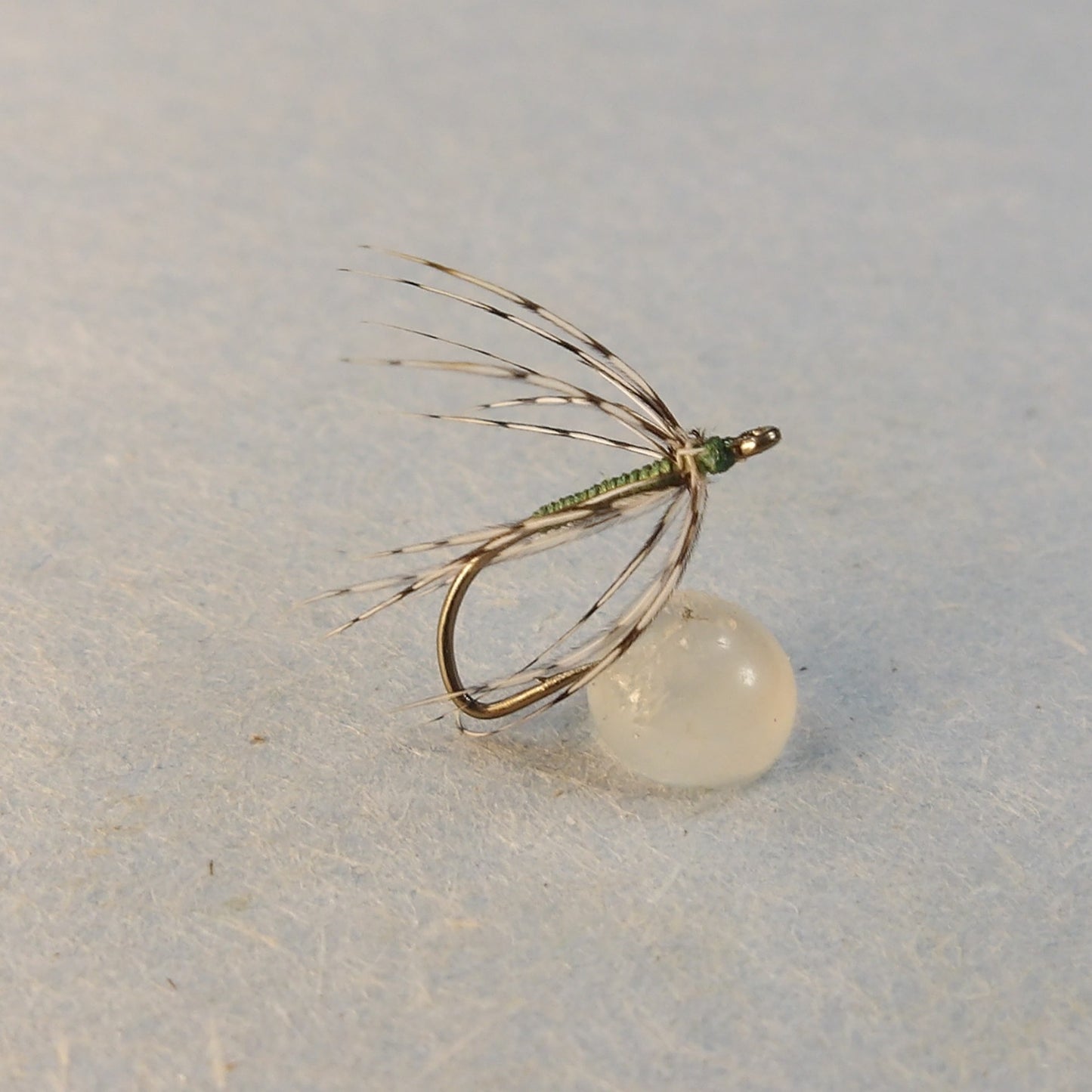 Olive Partridge Spider