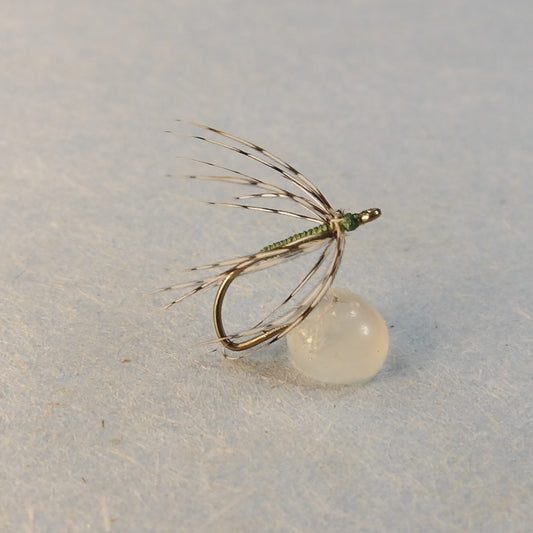Olive Partridge Spider