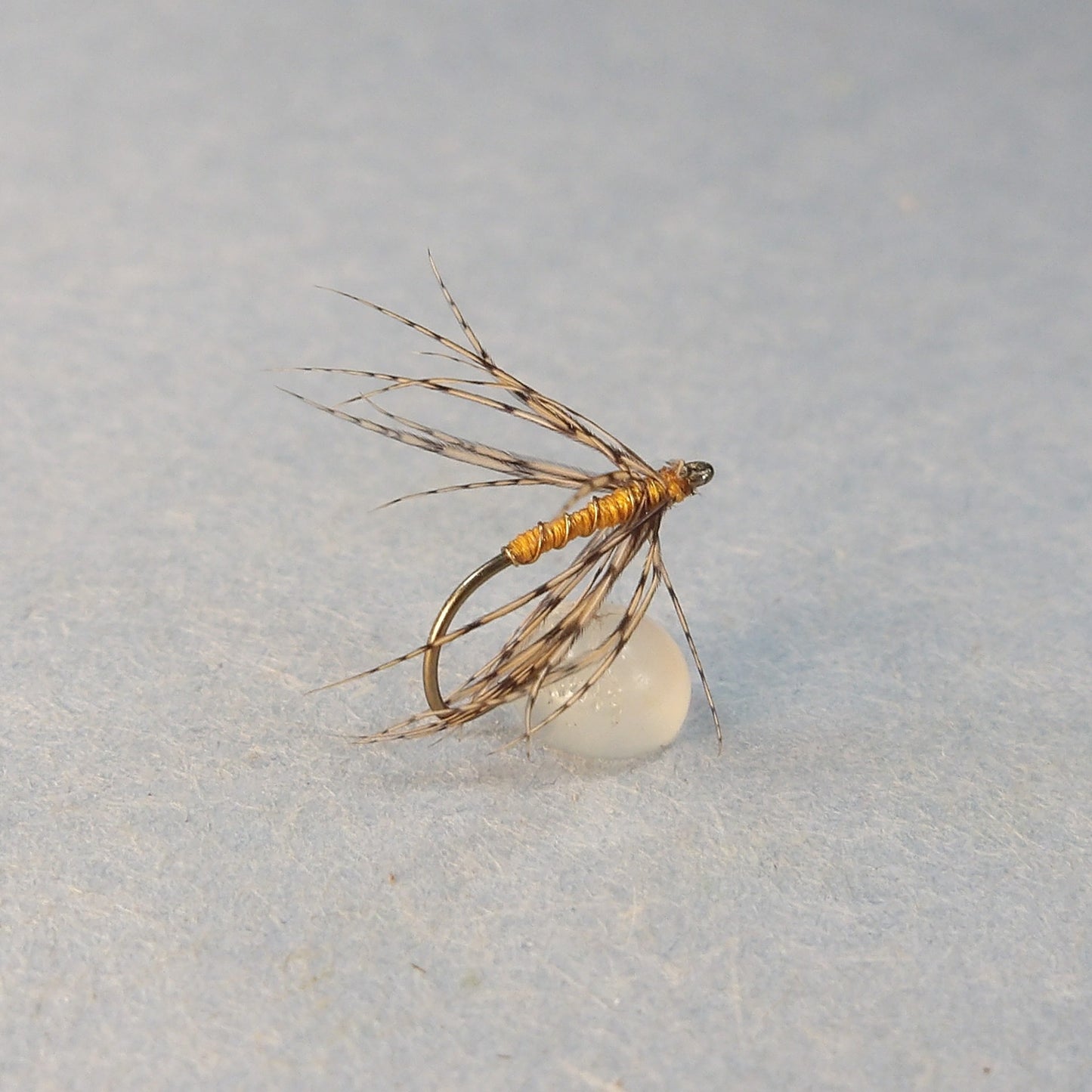 Orange and Partridge Spider