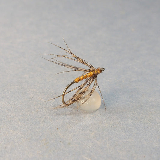 Orange and Partridge Spider