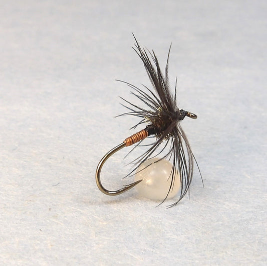 Orange and Peacock Spider