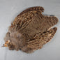 Hungarian Partridge Skin