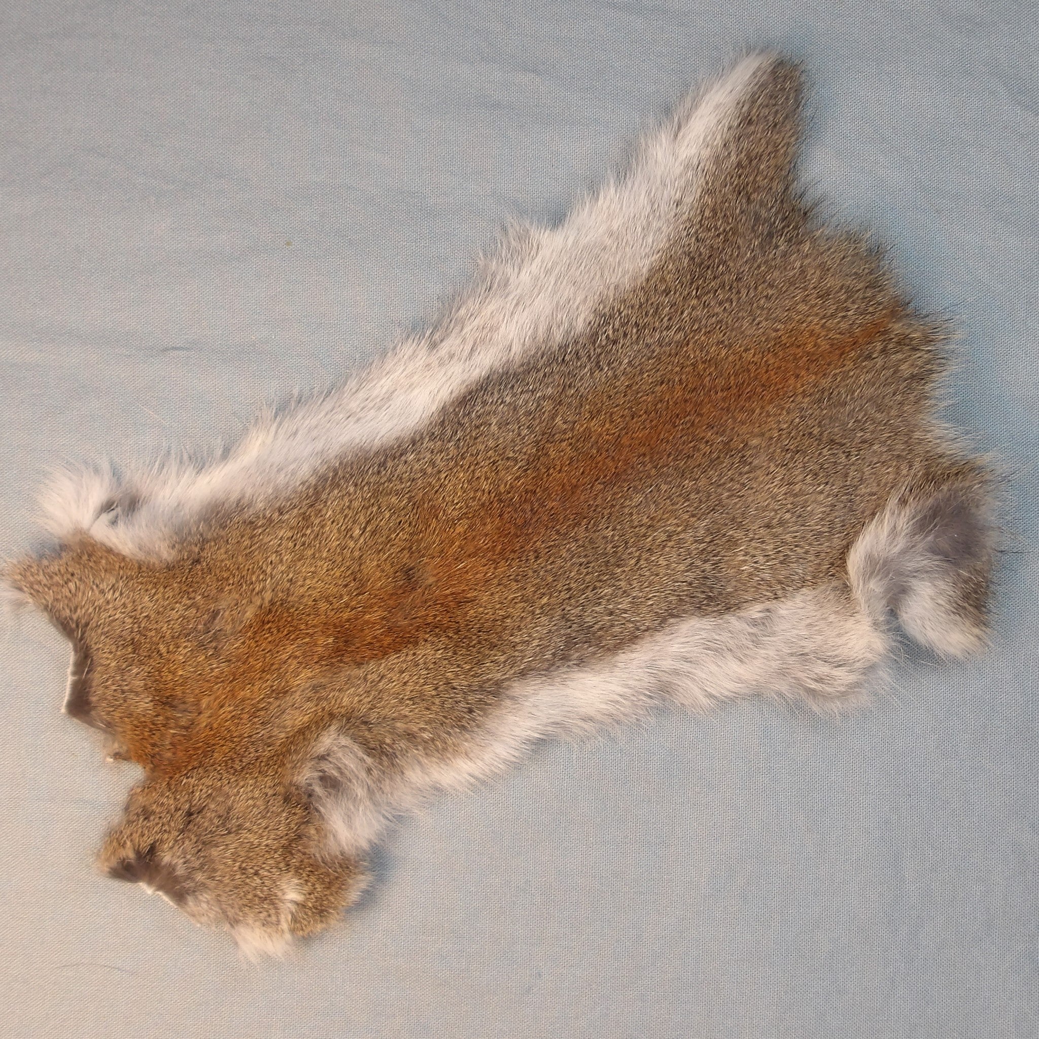 Pine Squirrel Skin – Morning Dew Angler
