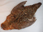 European Red Grouse