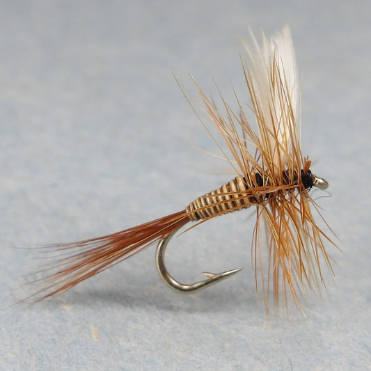 Red Quill
