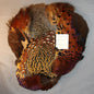Ringneck Pheasant Pelt # 17