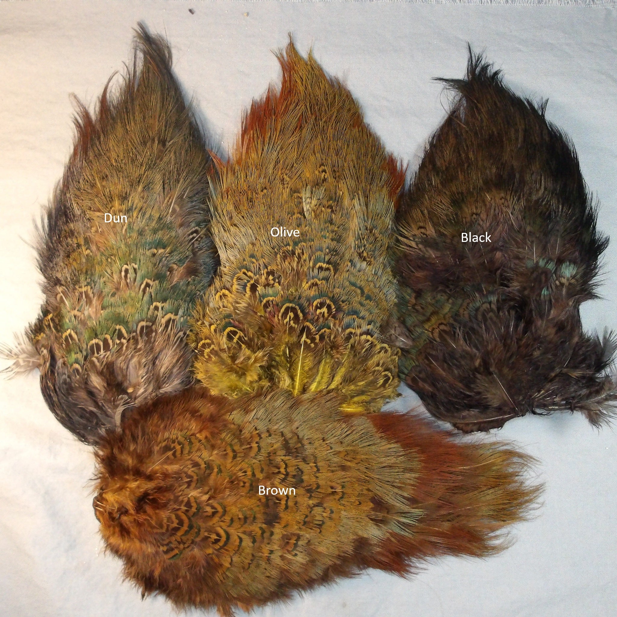 Pheasant Rump Patch – Morning Dew Angler