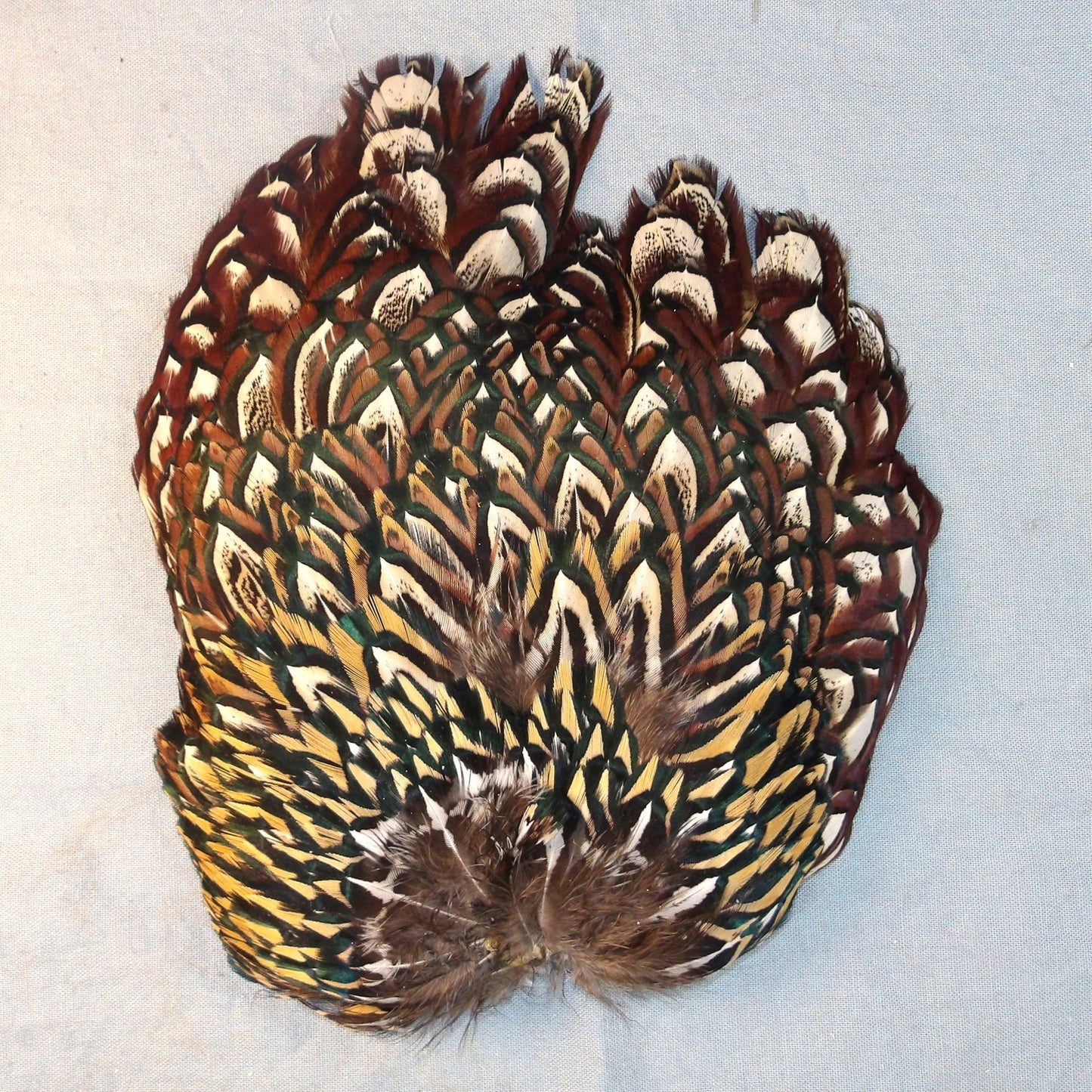 Ringneck Pheasant Saddle