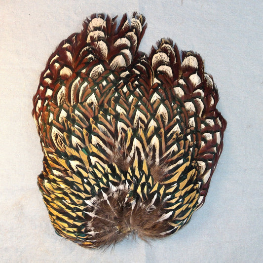 Ringneck Pheasant Saddle