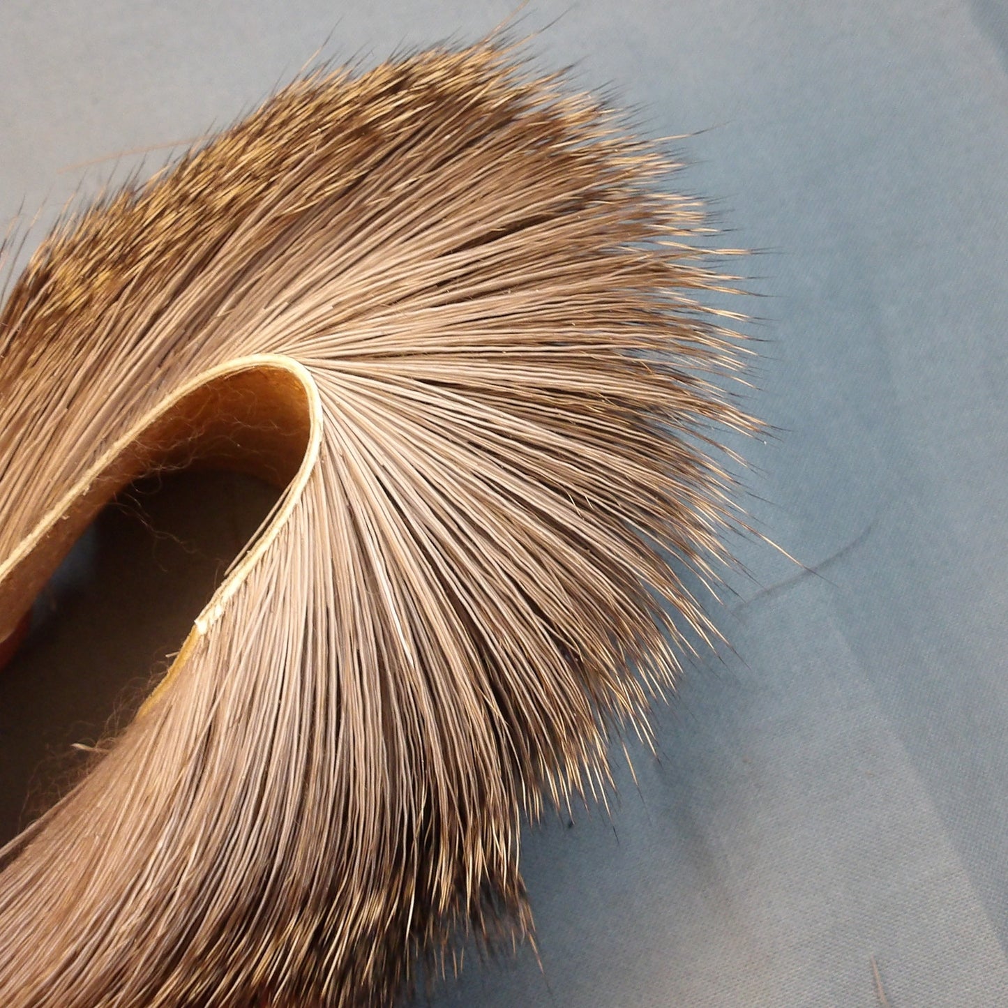 Veniard's Roe Deer Hair