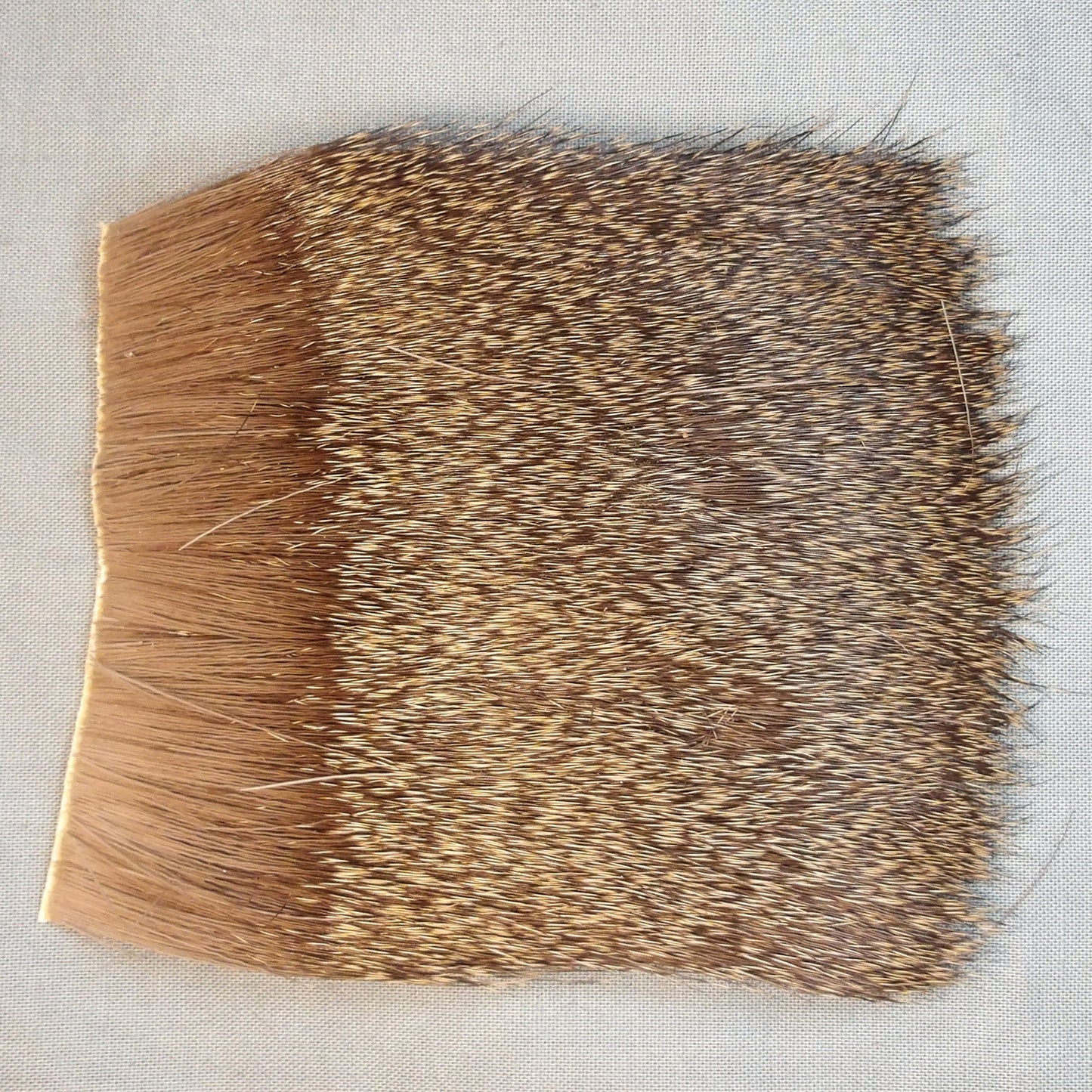 Veniard's Roe Deer Hair