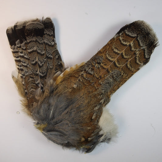 Ruffed Grouse Tail Clump
