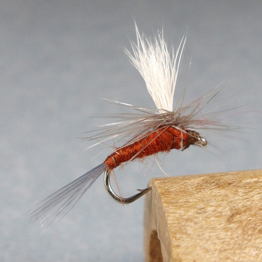 Rusty Parachute