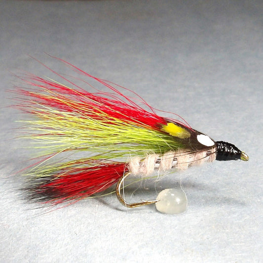 Little Brown Trout