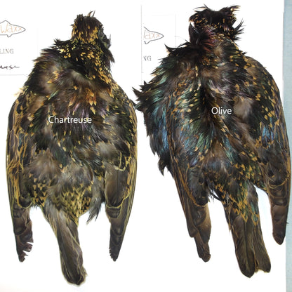 FlyWaxx Starling Skins ( Natural & Dyed)