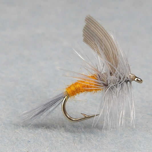 Sulpher Orange