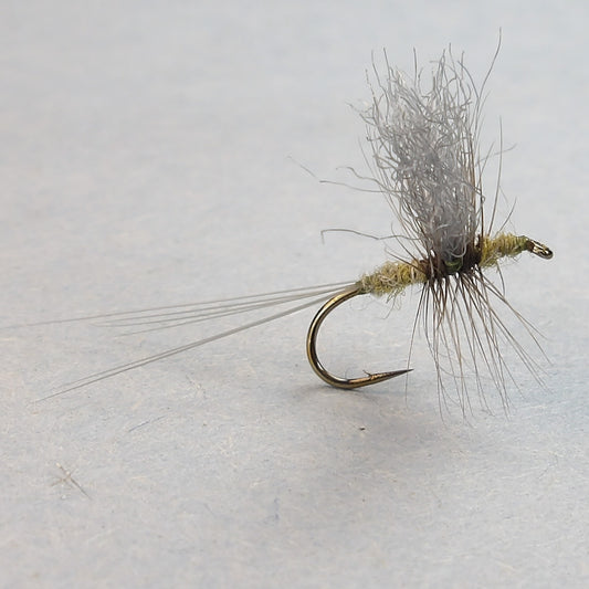 Blue Wing Olive Thorax Dun
