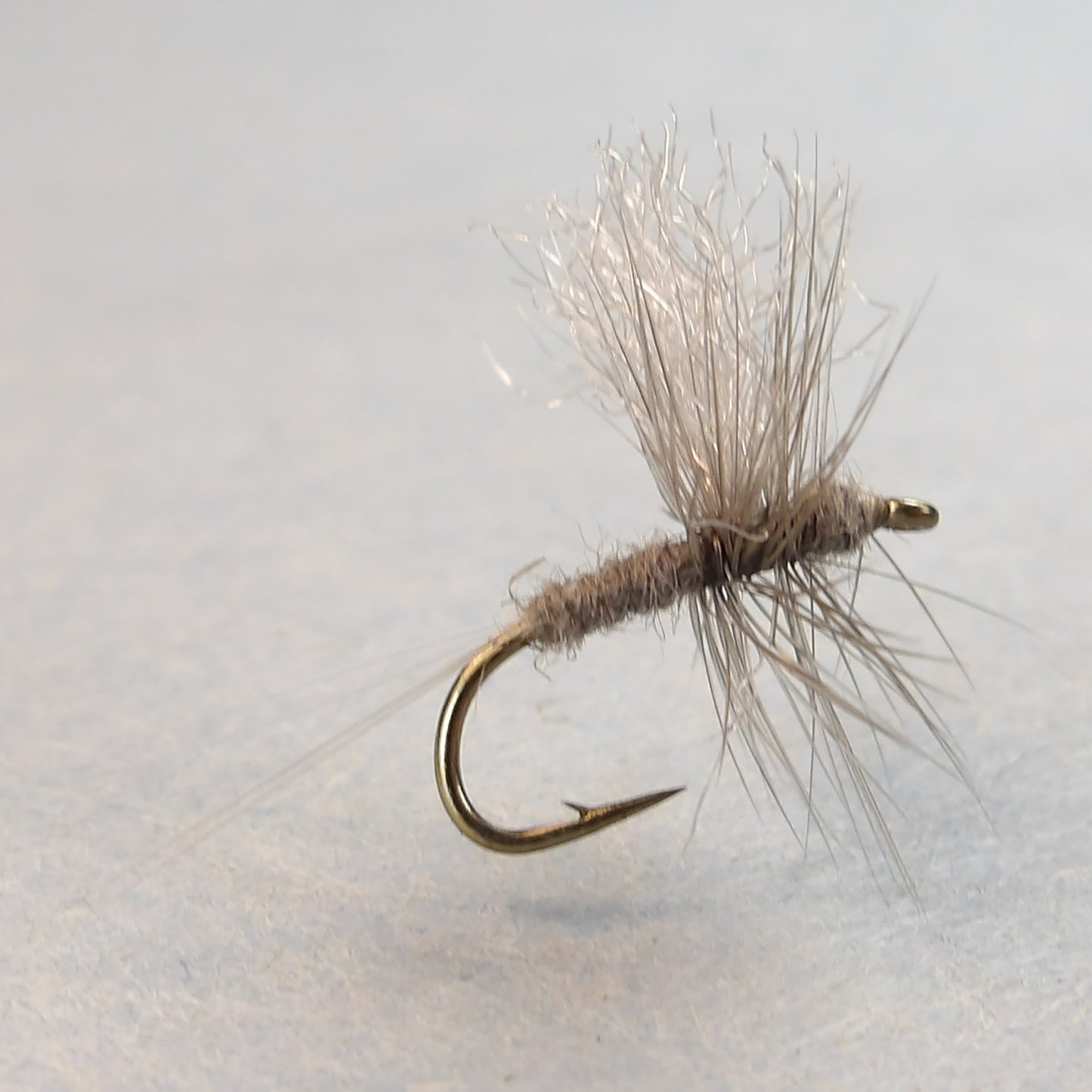 Blue Dun Thorax Dun