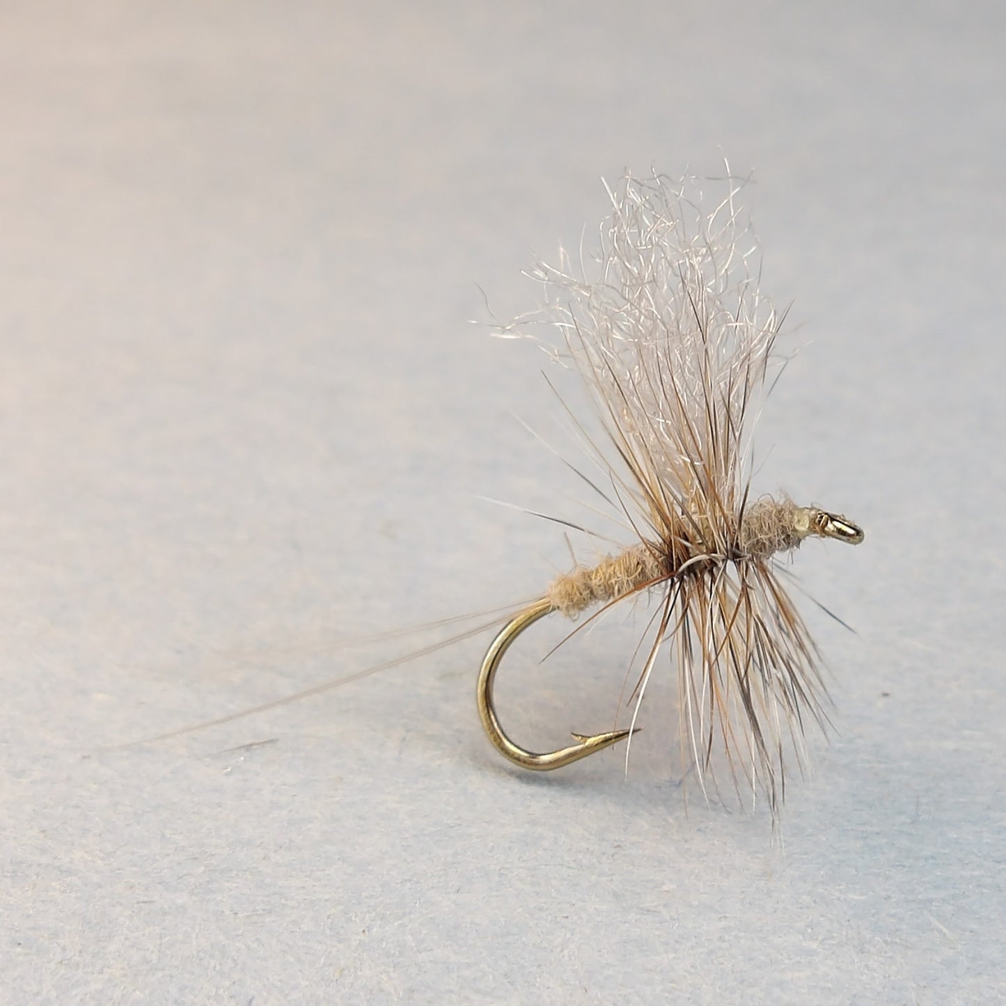 Grey Fox Thorax Dun