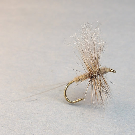 Grey Fox Thorax Dun