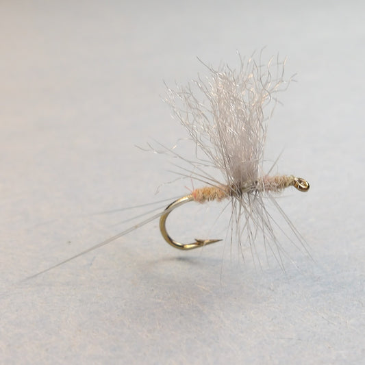 Female Hendrickson Thorax Dun
