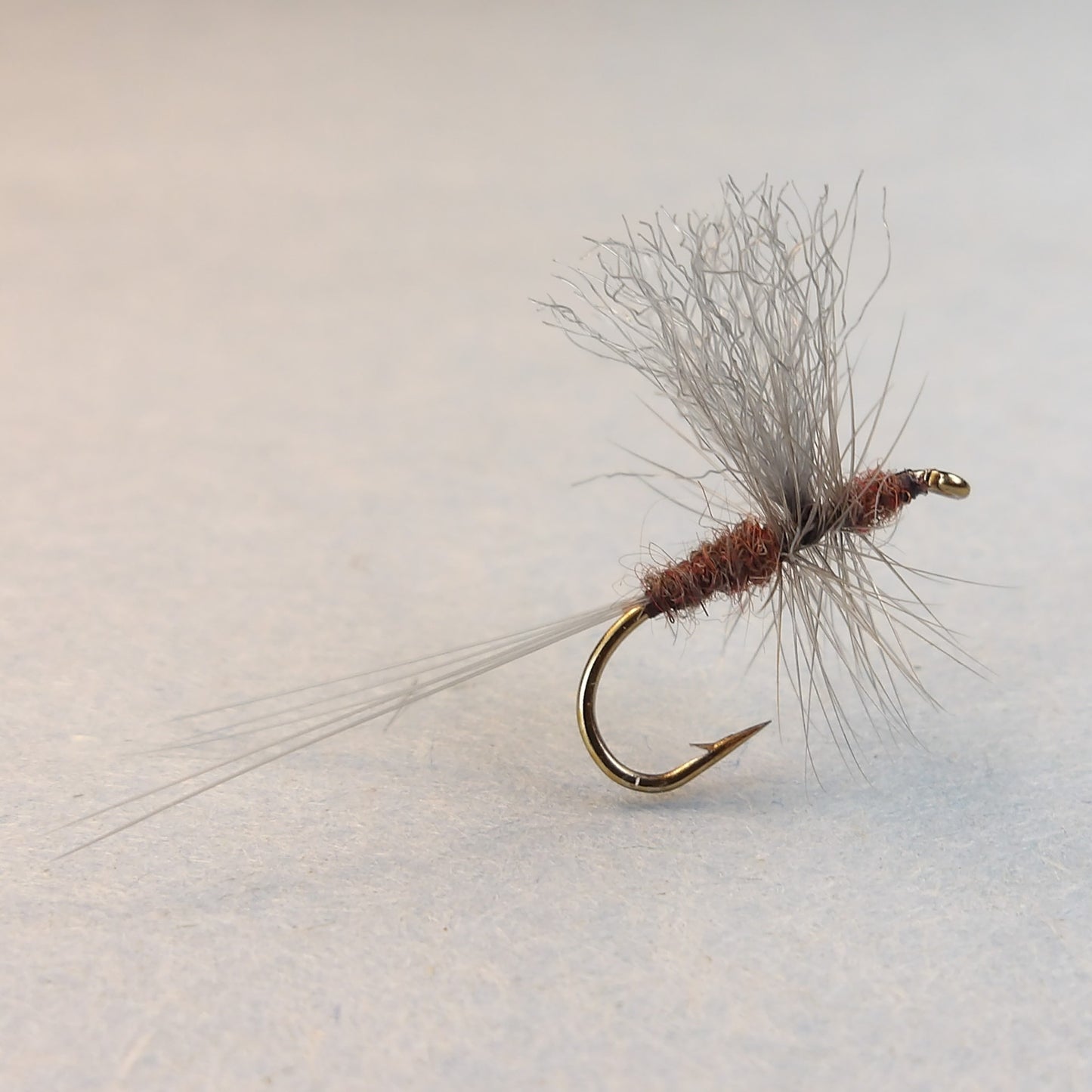 Male Hendrickson Thorax Dun