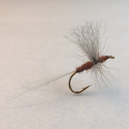 Male Hendrickson Thorax Dun