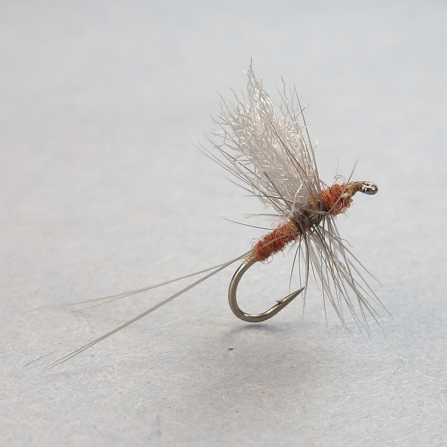 Little Red Quill Thorax Dun