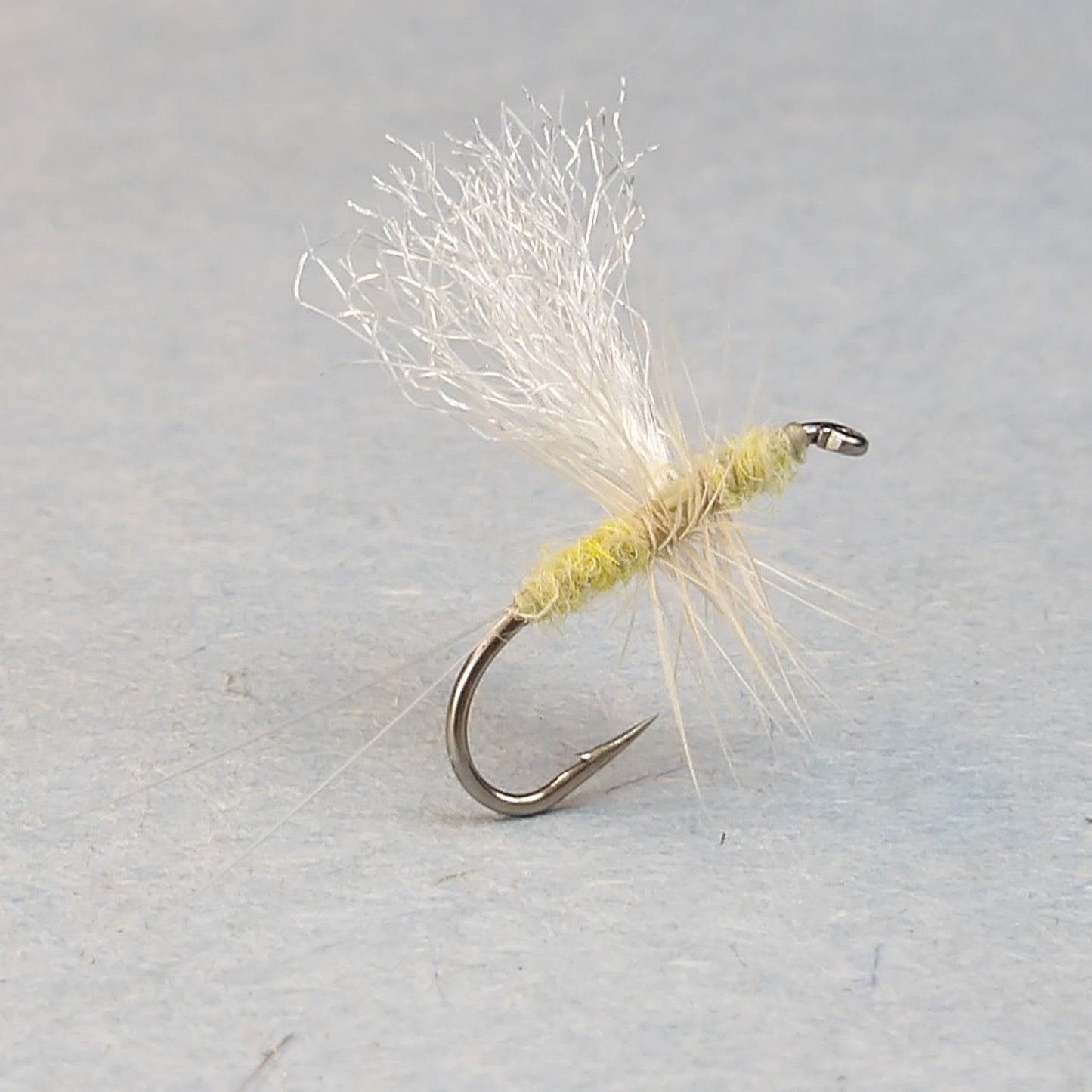 Pale Evening Dun Thorax Dun