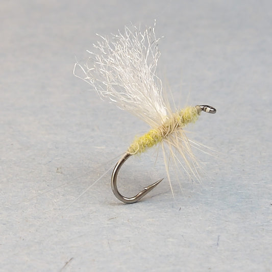 Pale Evening Dun Thorax Dun